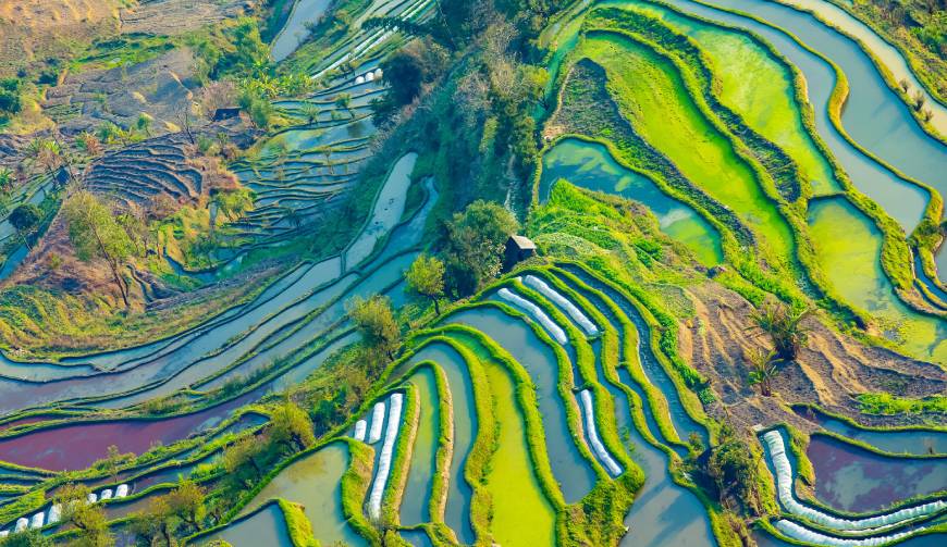 宝妈必备神器：鄂伦春自治旗产品视频拍摄轻松育儿好帮手